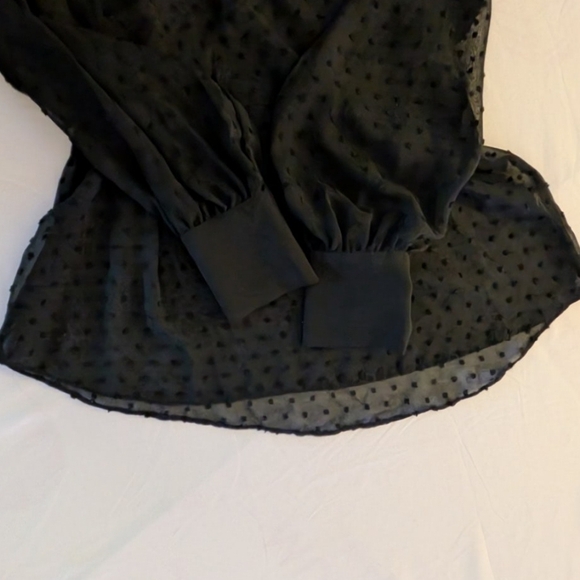 Altuzarra Swiss Dot Sheer Tie-Neck Flowy Elegant Timeless Black Sheer Blouse - Picture 7 of 13